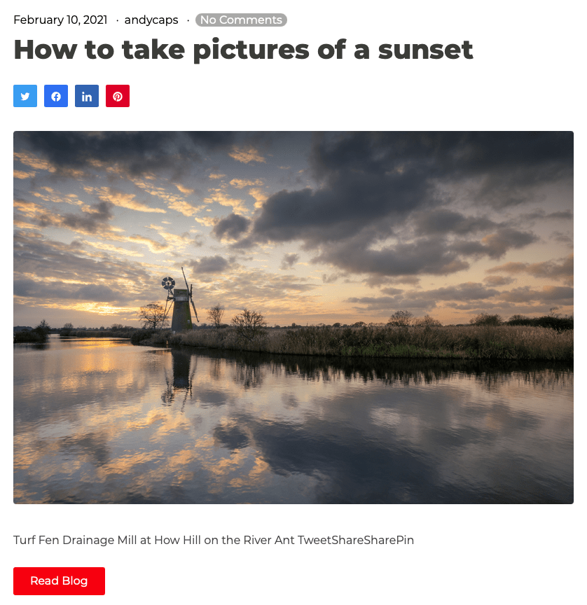 screen shot image of Wayne Dibble blog
